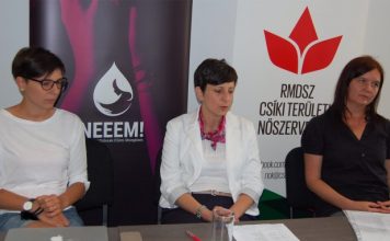 Az RMDSZ Nőszervezete iskolai tájékoztatókon hívta fel a figyelmet a nők elleni erőszak súlyosságára