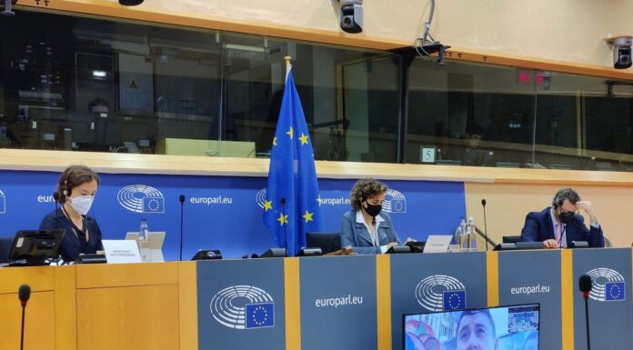 Vincze Loránt: A medvekérdés megoldásához Romániában életbe kell ültetni a vadgazdálkodási stratégiát